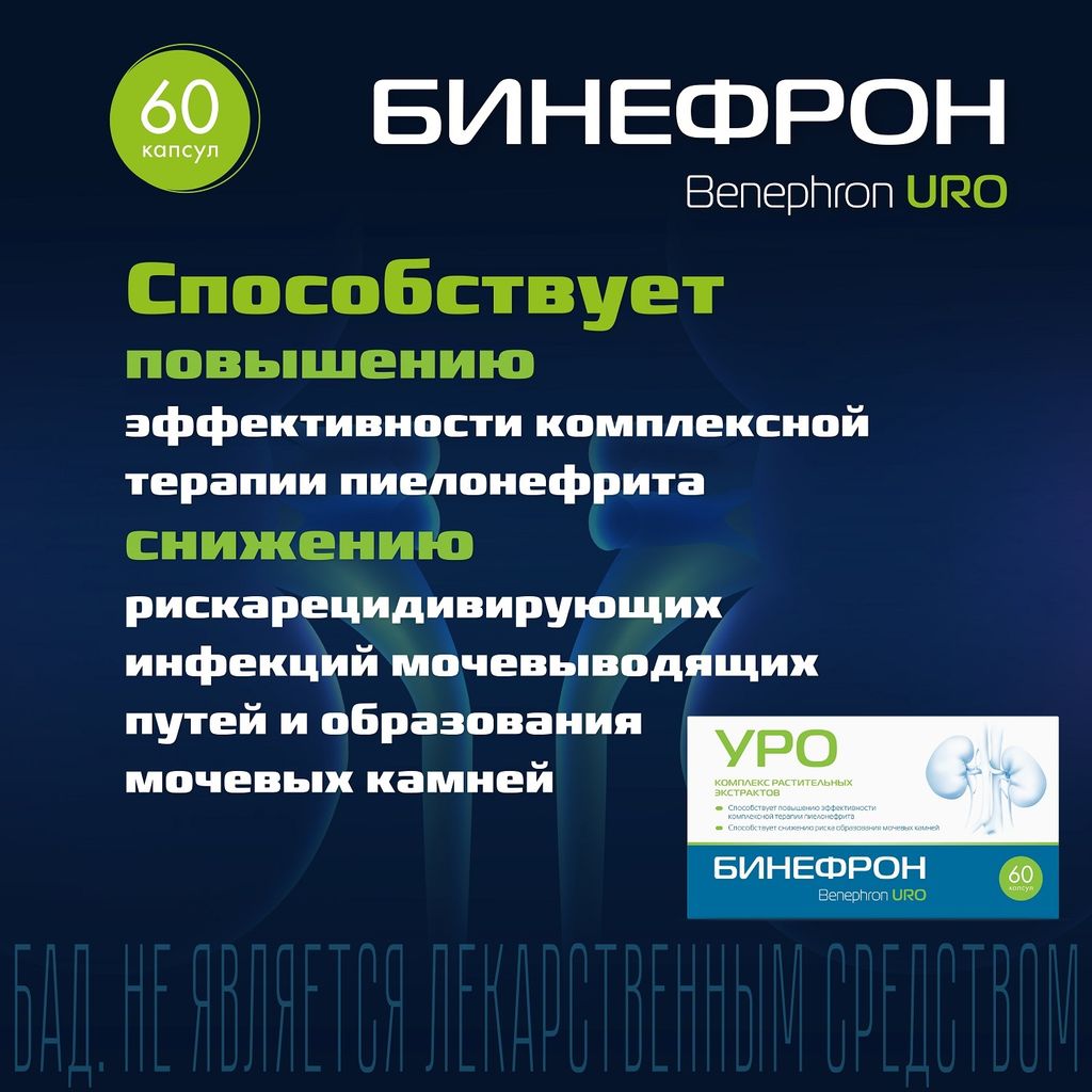 Бинефрон Уро, 460 мг, капсулы, 60 шт.